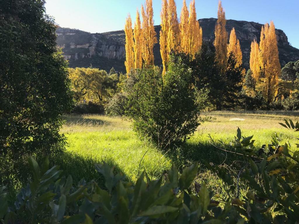 The Grey Plow Apartamento Clarens